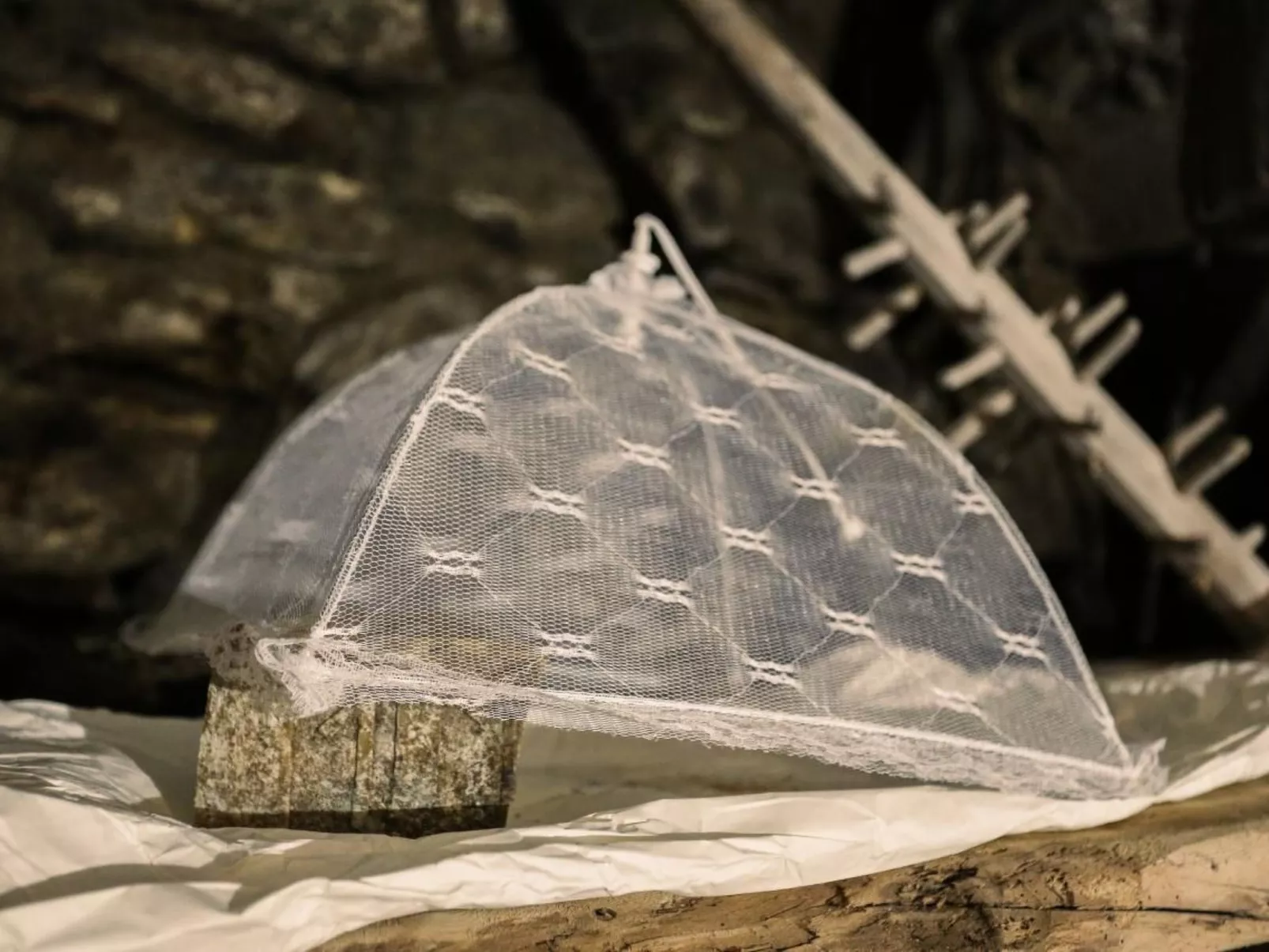 Genießen Sie das 'Attico Adula' in Cà Nizza-Binnen