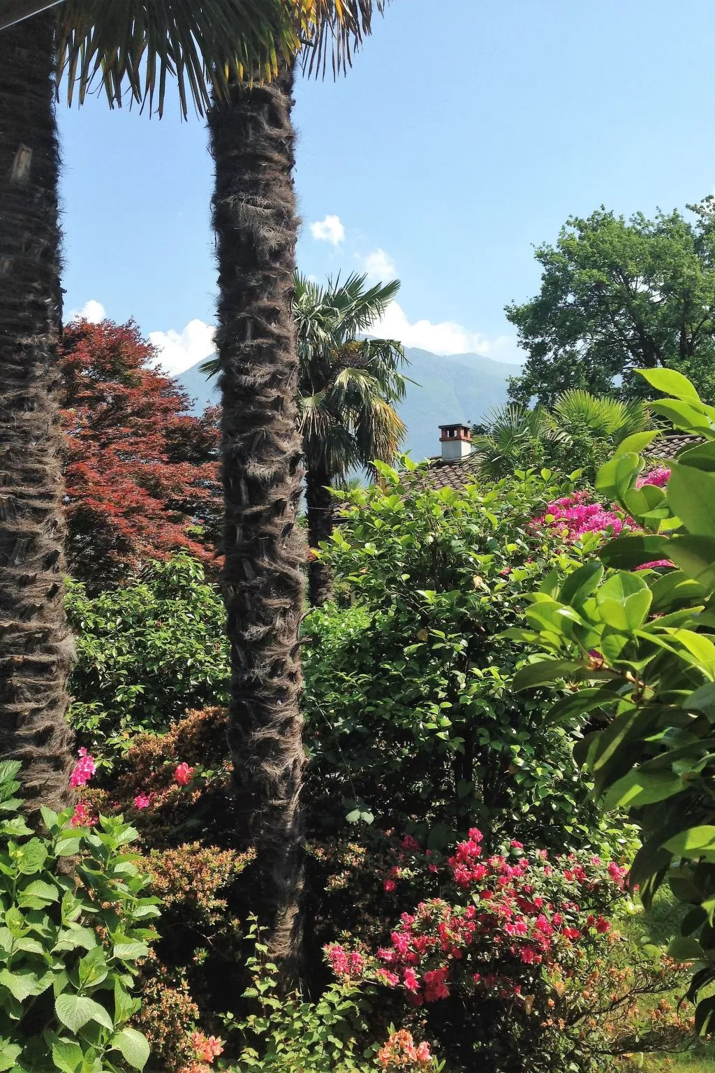 Casa Cristina-Image-tags.info