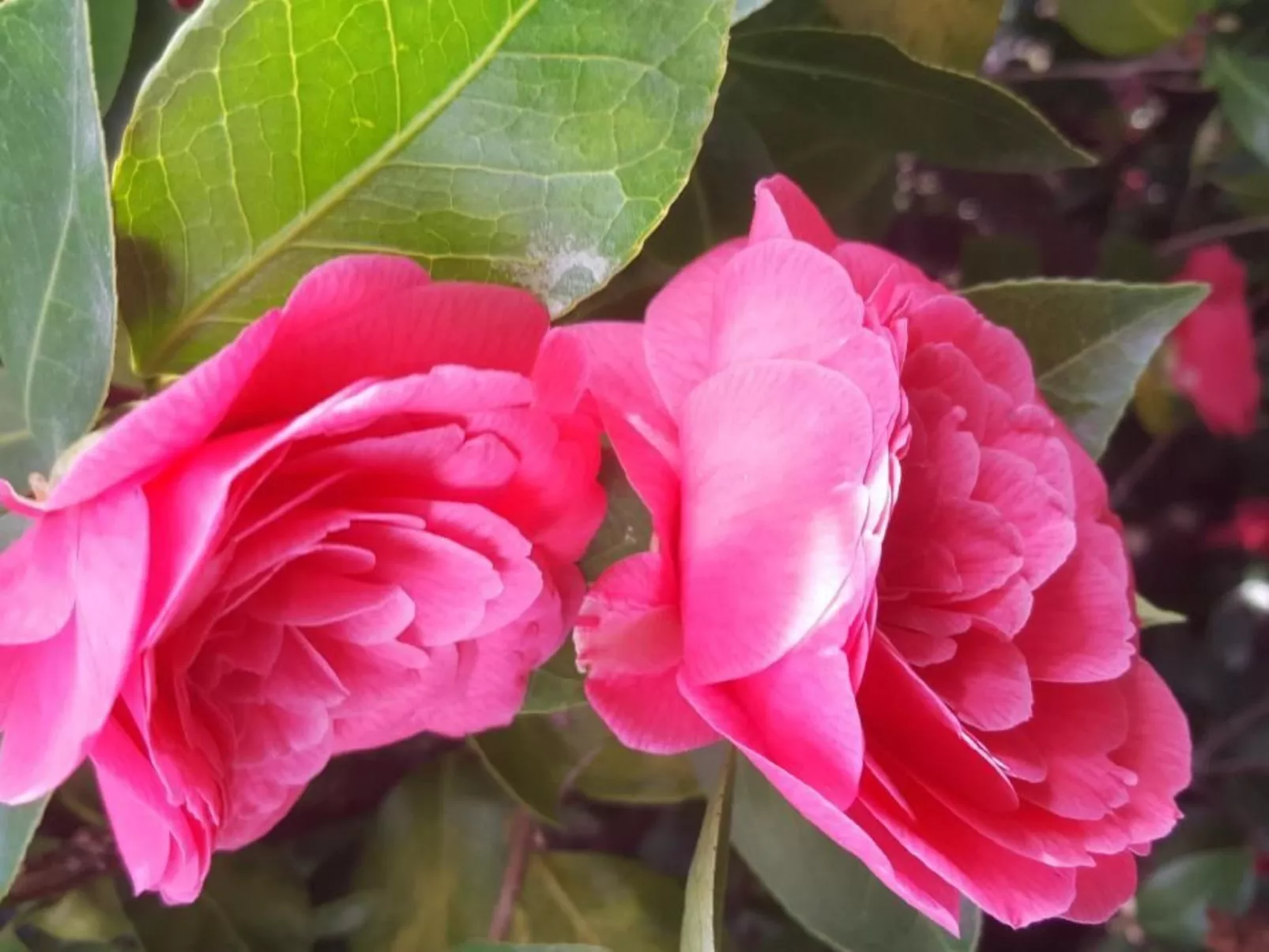 Casa Adelizia-Buiten