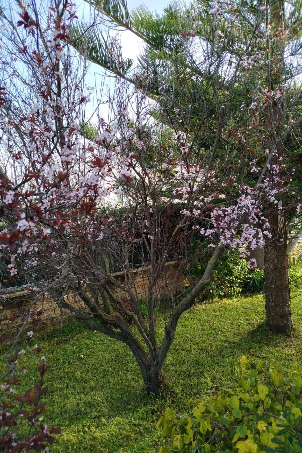 'Villetta mare' mit Blick aufs Wasser-Image-tags.info