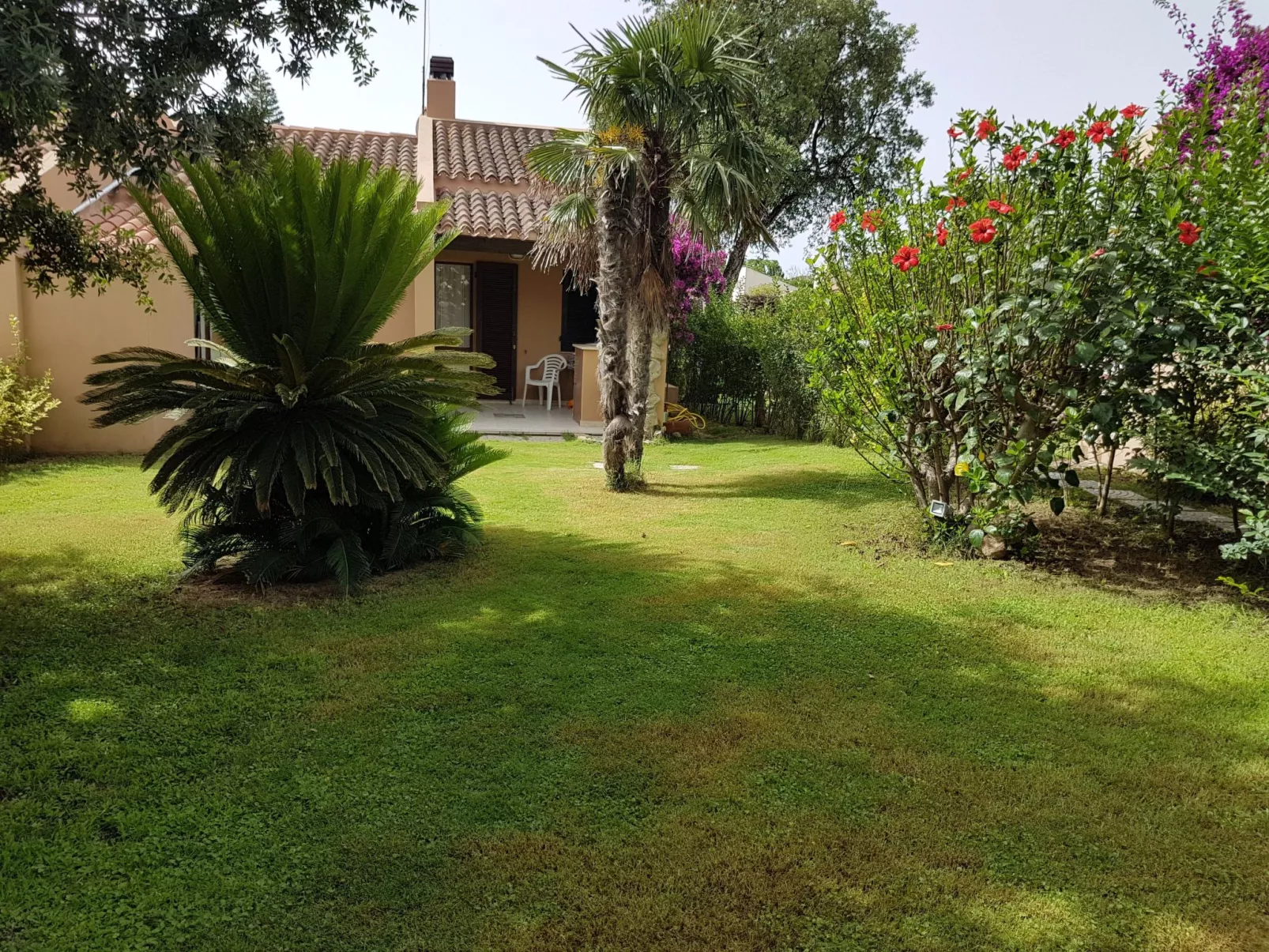 Mit Wasserblick-Image-tags.info