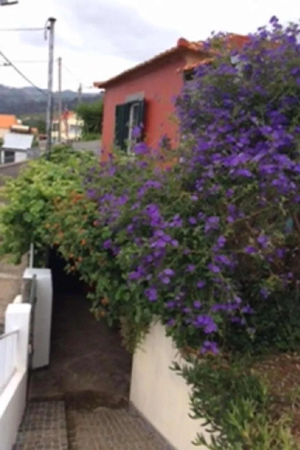 Klein-Norwegen-Image-tags.info