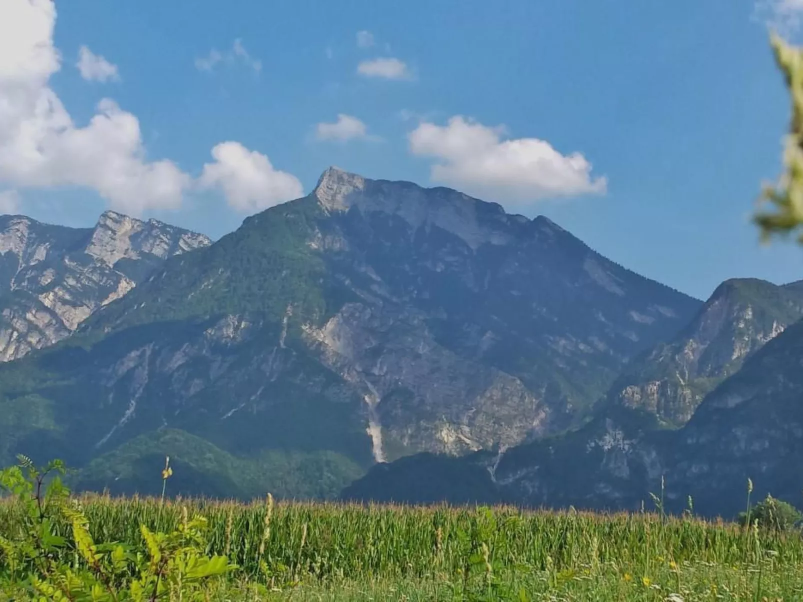 'Irma'-Image-tags.info