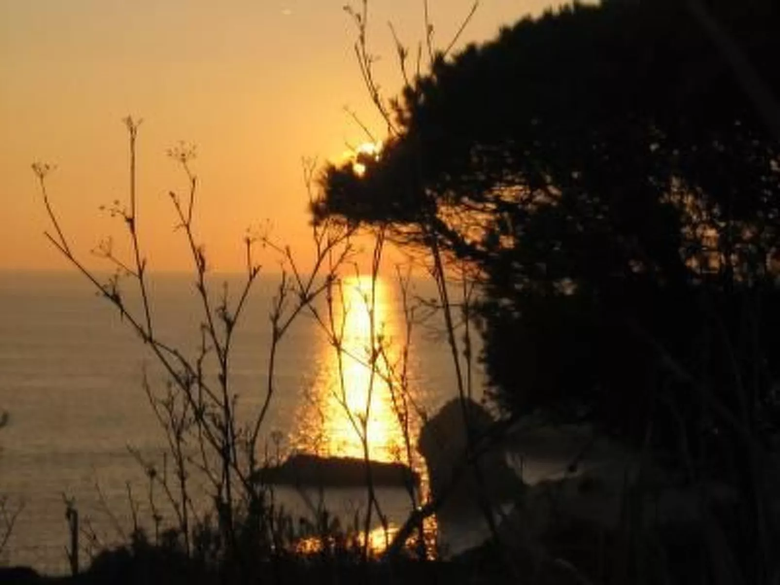 Einzigartige Lage, atemberaubende Aussicht, Leben in der Natur.-Buiten