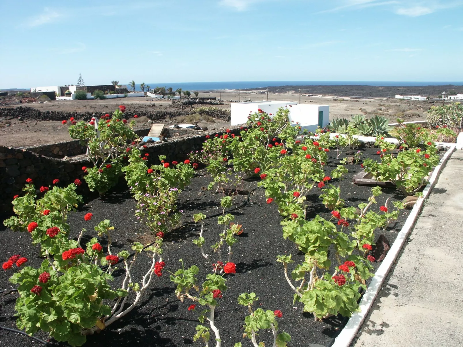 Finca mit Pool und herrlichem Meerblick-Buiten