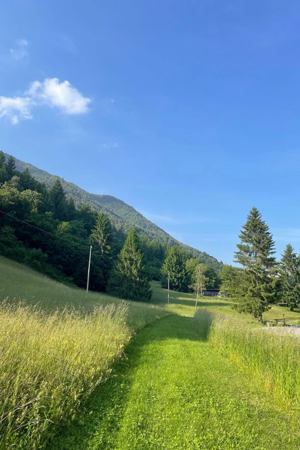 Gesegnet wie Frösche auf einem Seerosenblatt-Buiten