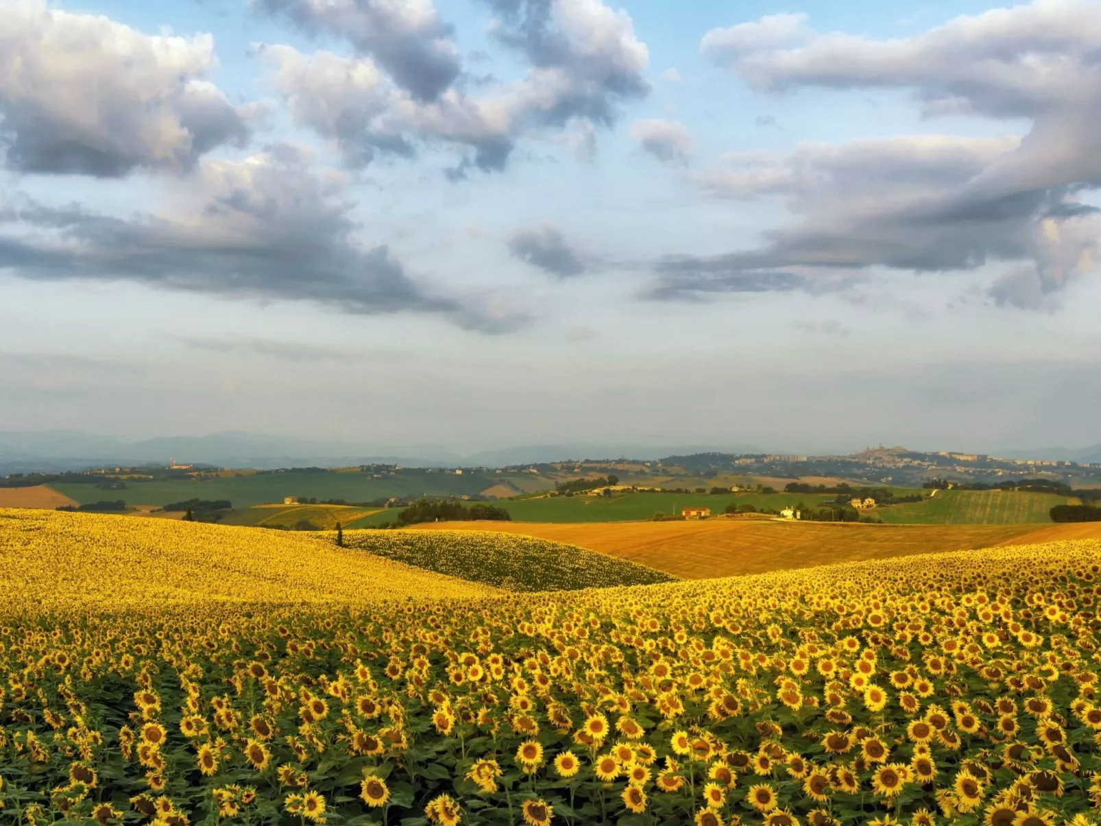'Casa il Girasole'-Buiten