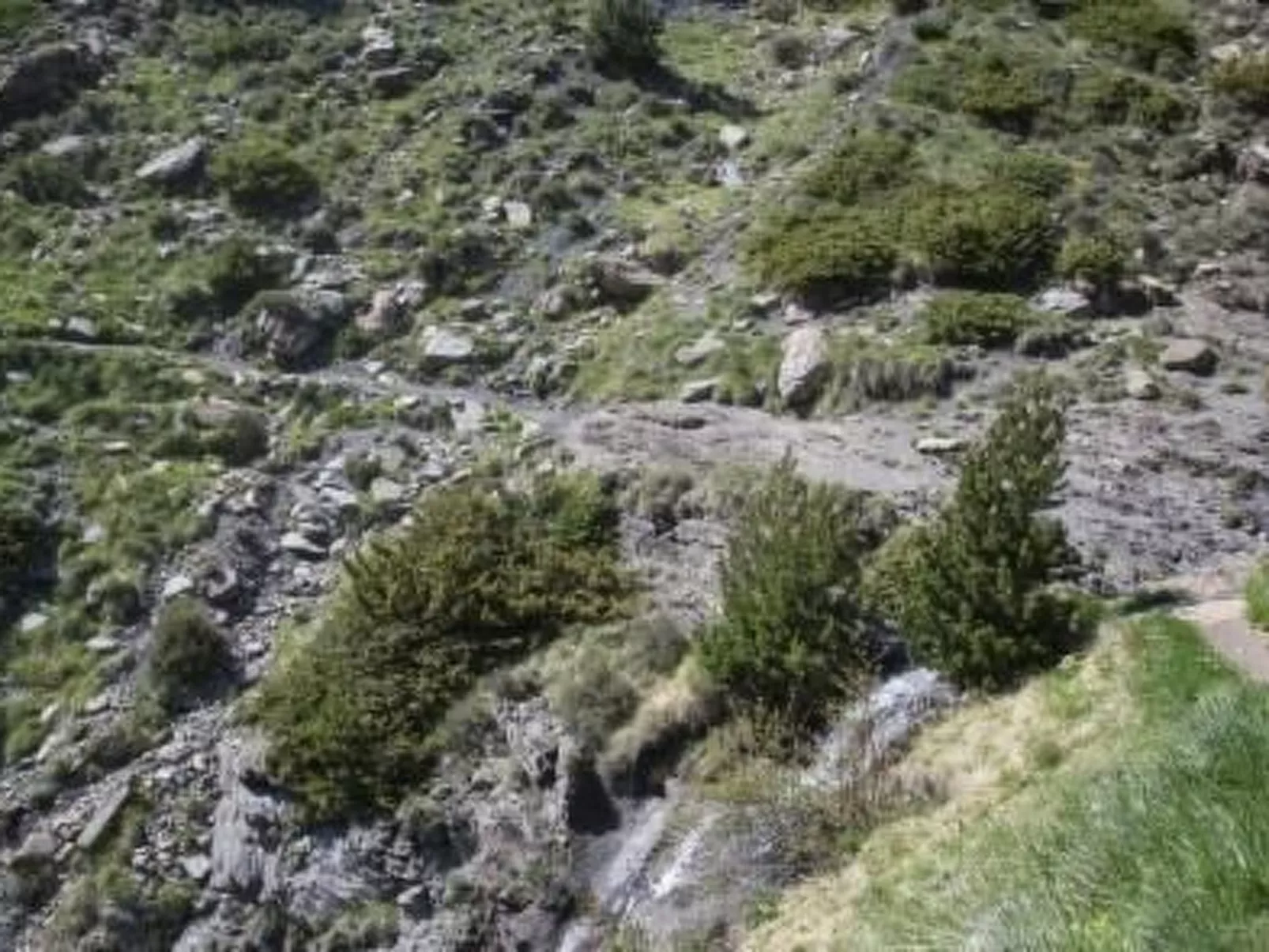 Appartement mit Terrasse-Image-tags.info