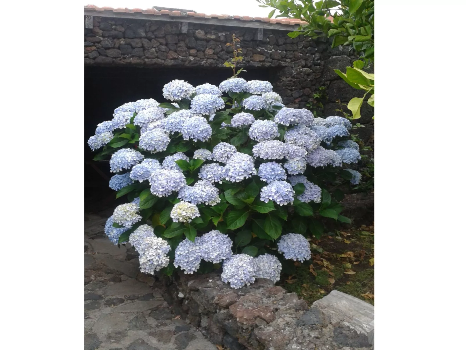 Traditionelles kanarisches Landhaus-Buiten
