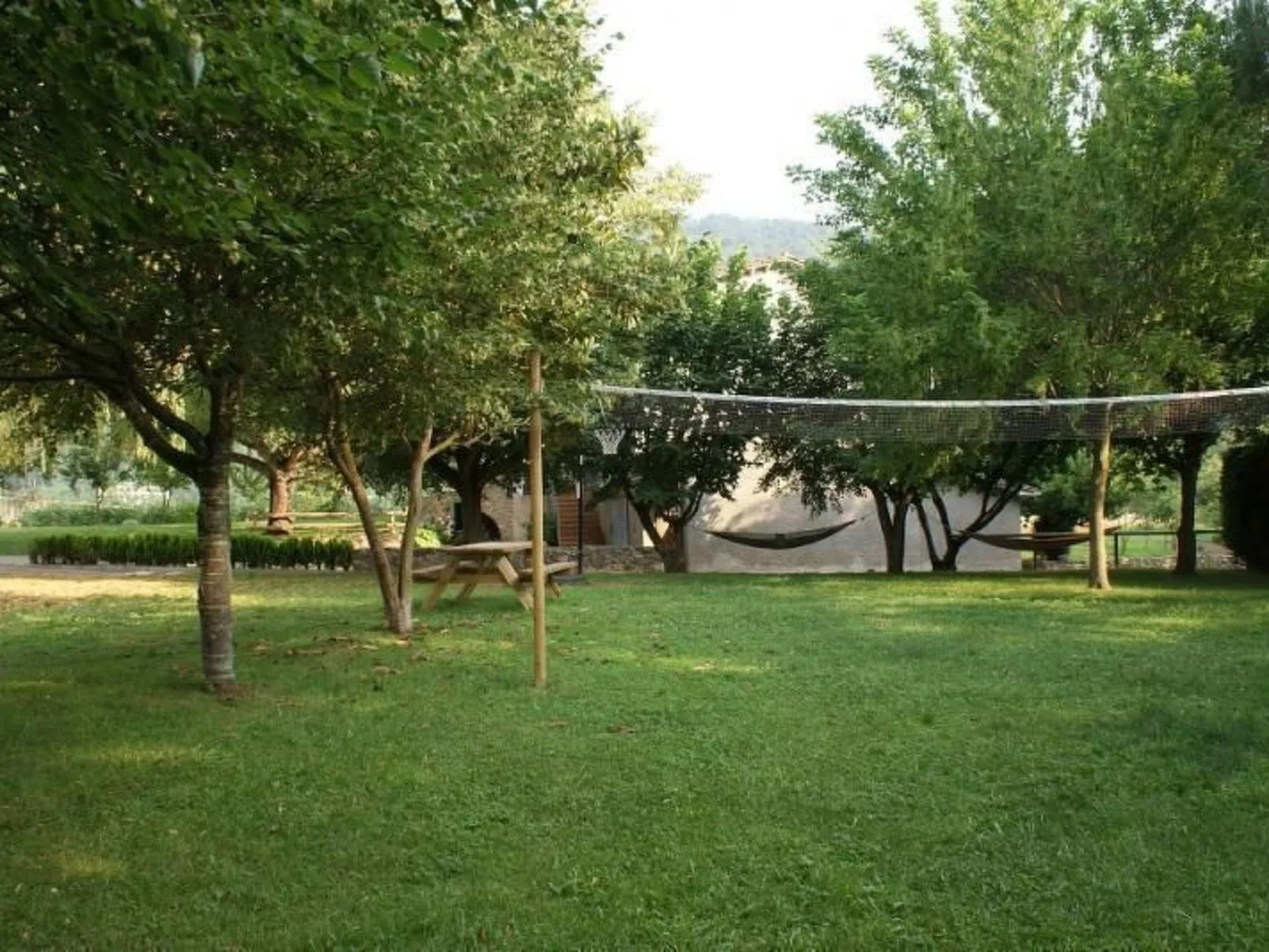 El Paller-Image-tags.info