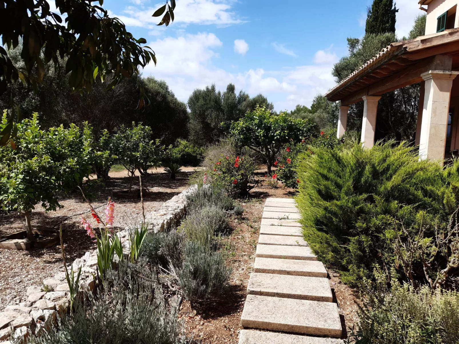 Finca Mallorquina-Image-tags.info