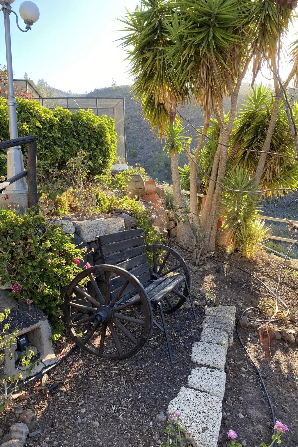 La Paloma mit gemeinschaftlichem Wellnessbereich-Buiten