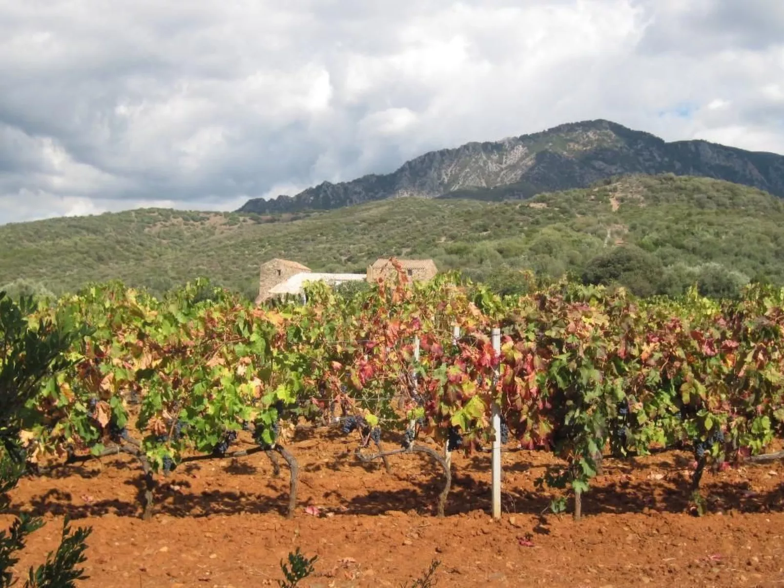 Su Sole de Barega-Image-tags.info