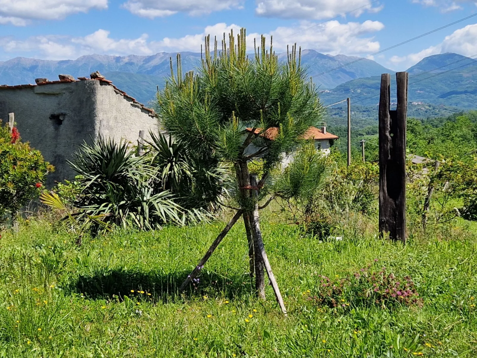Mini-Appartement Casa Colombana mit Panoramablick - Buiten
