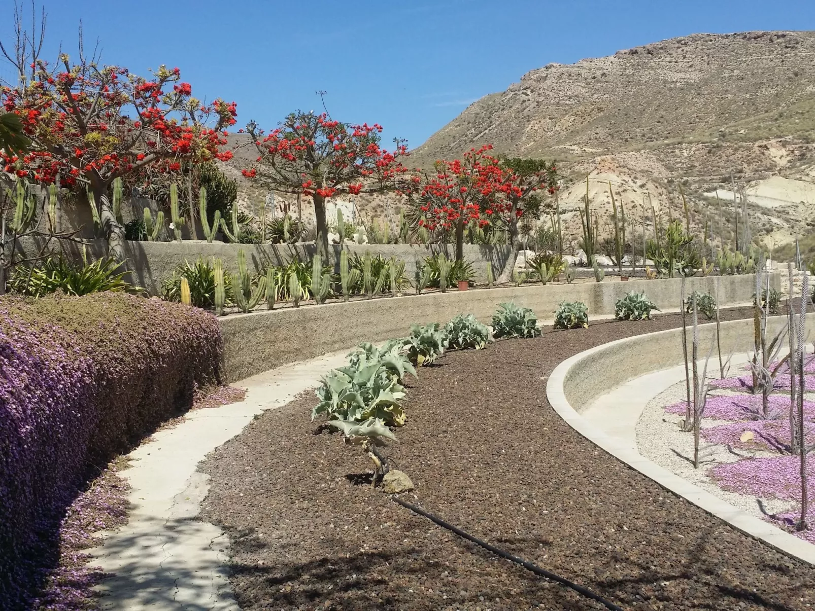 Schöne Villa für 6 Personen mit Schwimmbad-Buiten