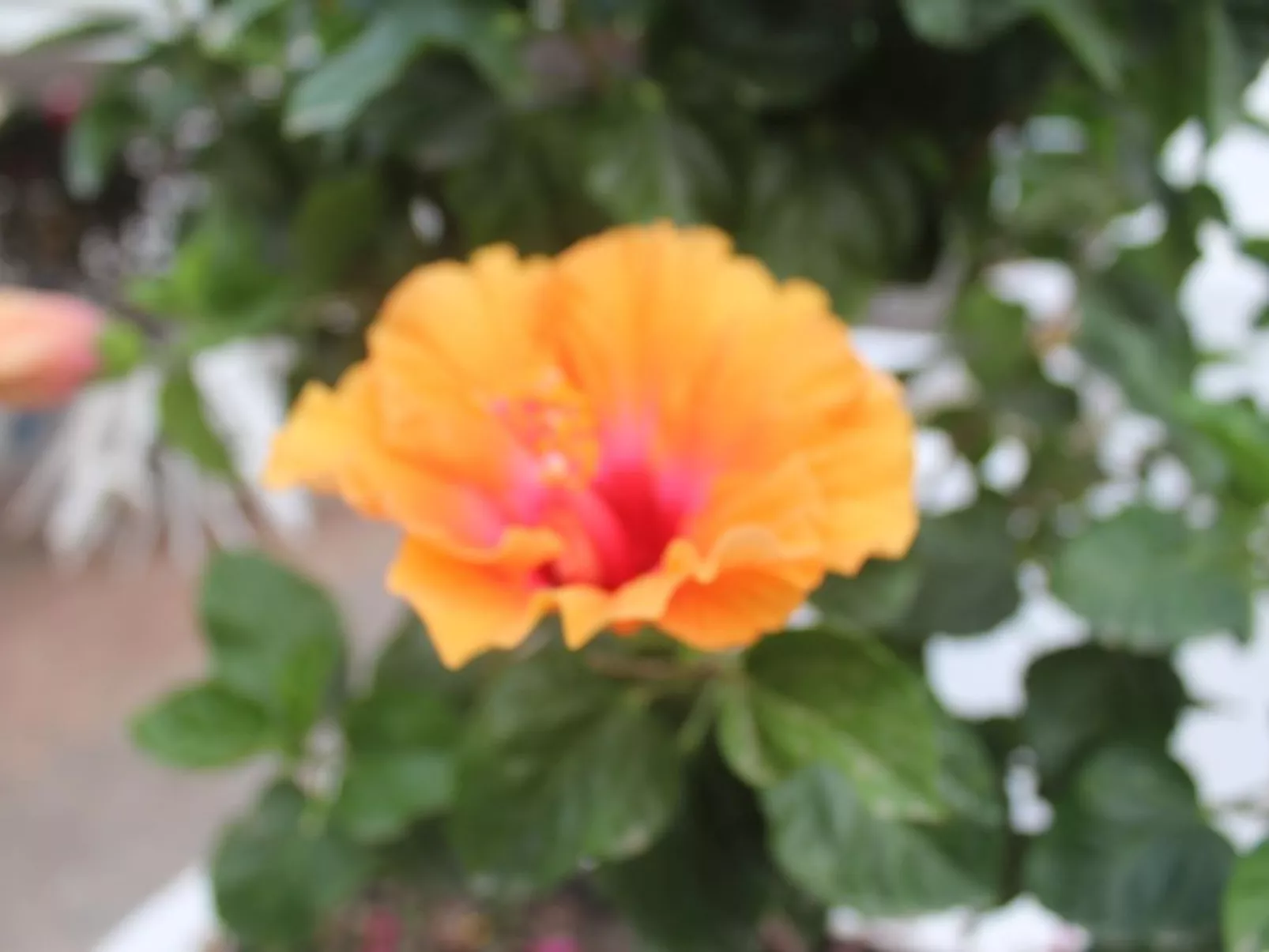 Wohnung 'Blue 236' in Strandnähe-Image-tags.info