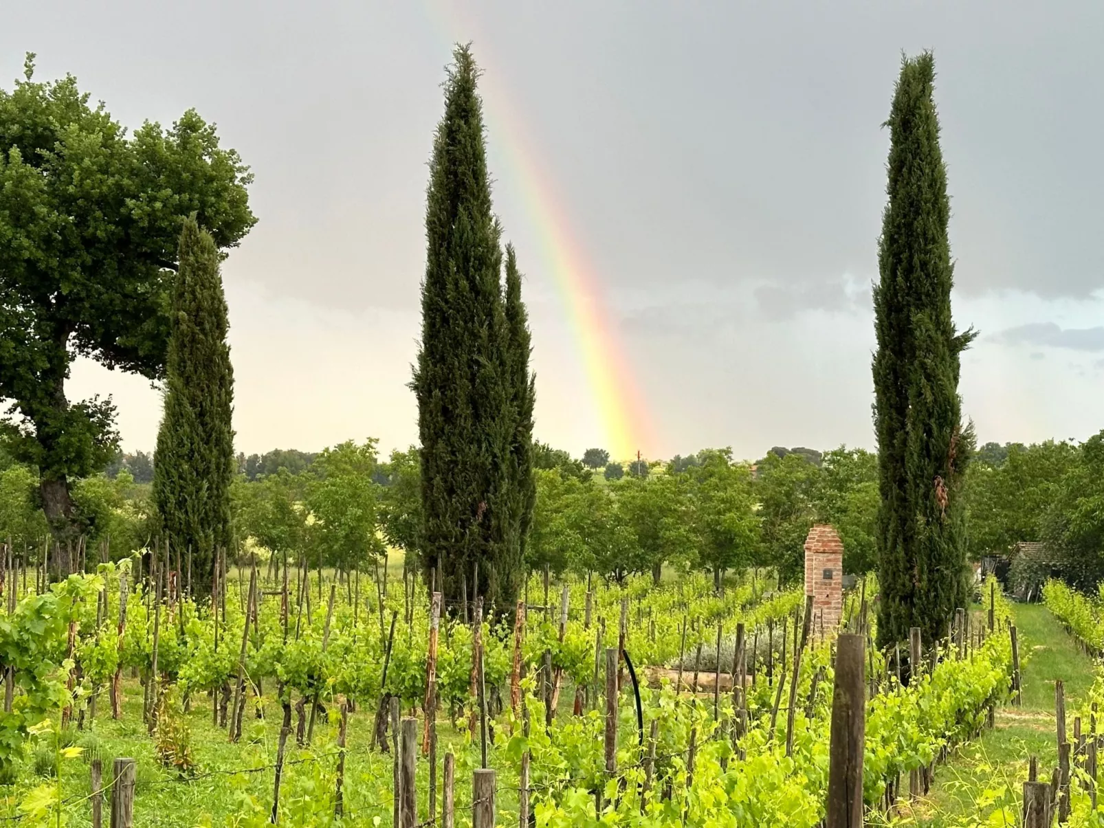 Apartment Vigneto-Buiten