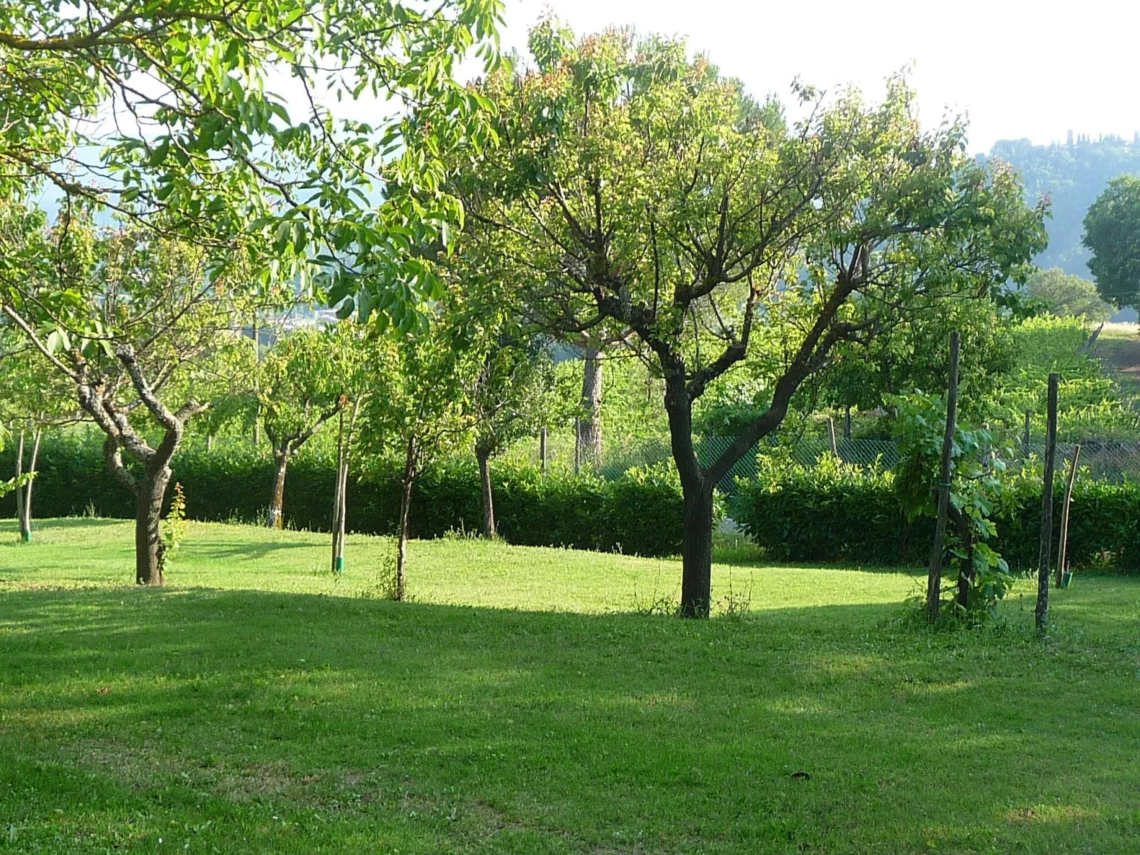 Geranei Haus mit Schwimmbad zwischen Florenz und-Image-tags.info