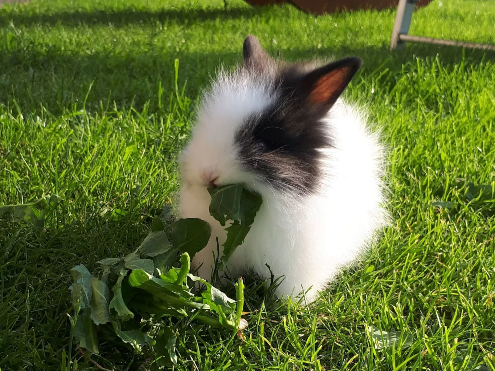 Kompatscherhof-Image-tags.info