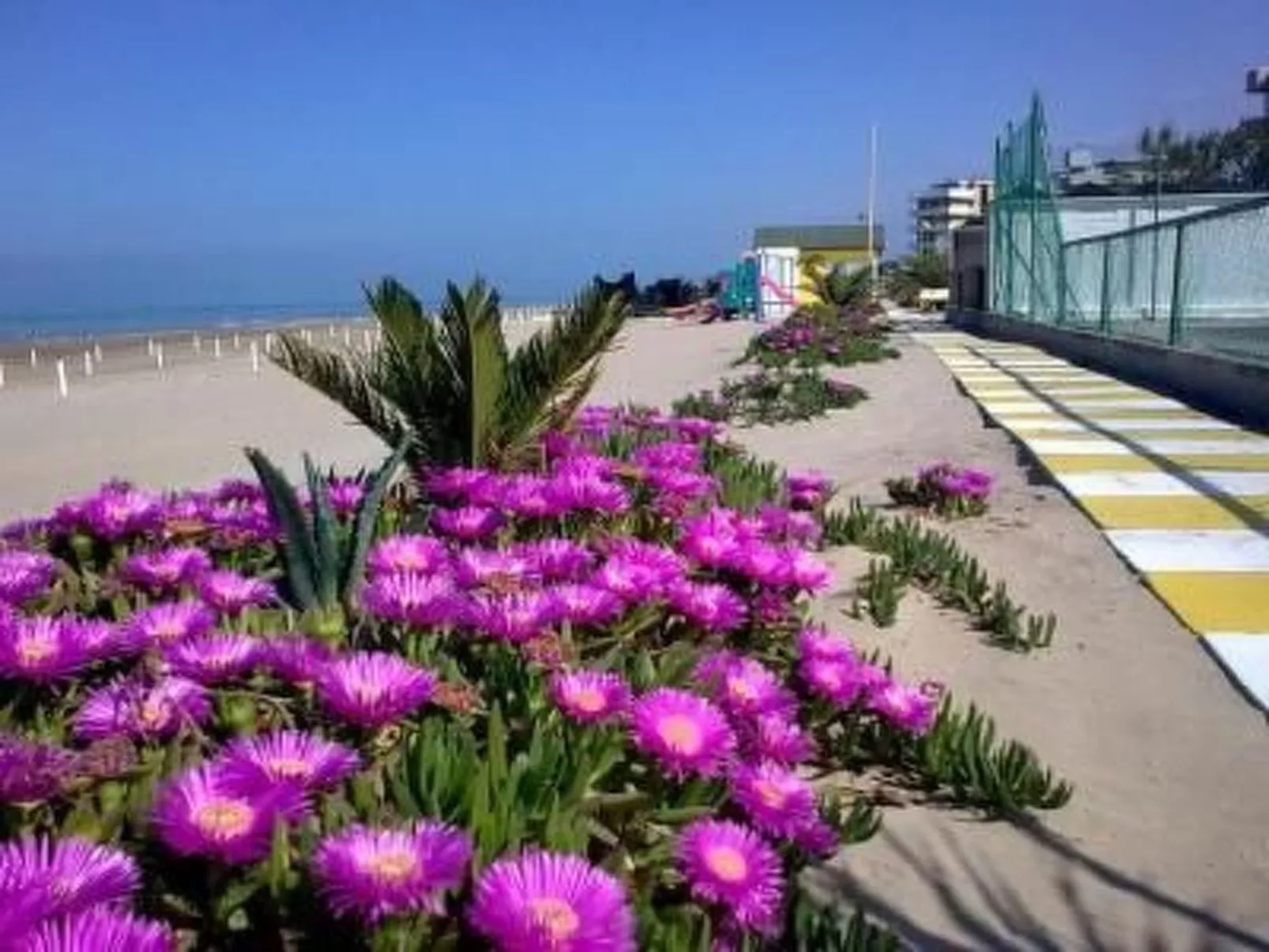 Wohnung 'Mare Blu 3' in Strandnähe-Buiten