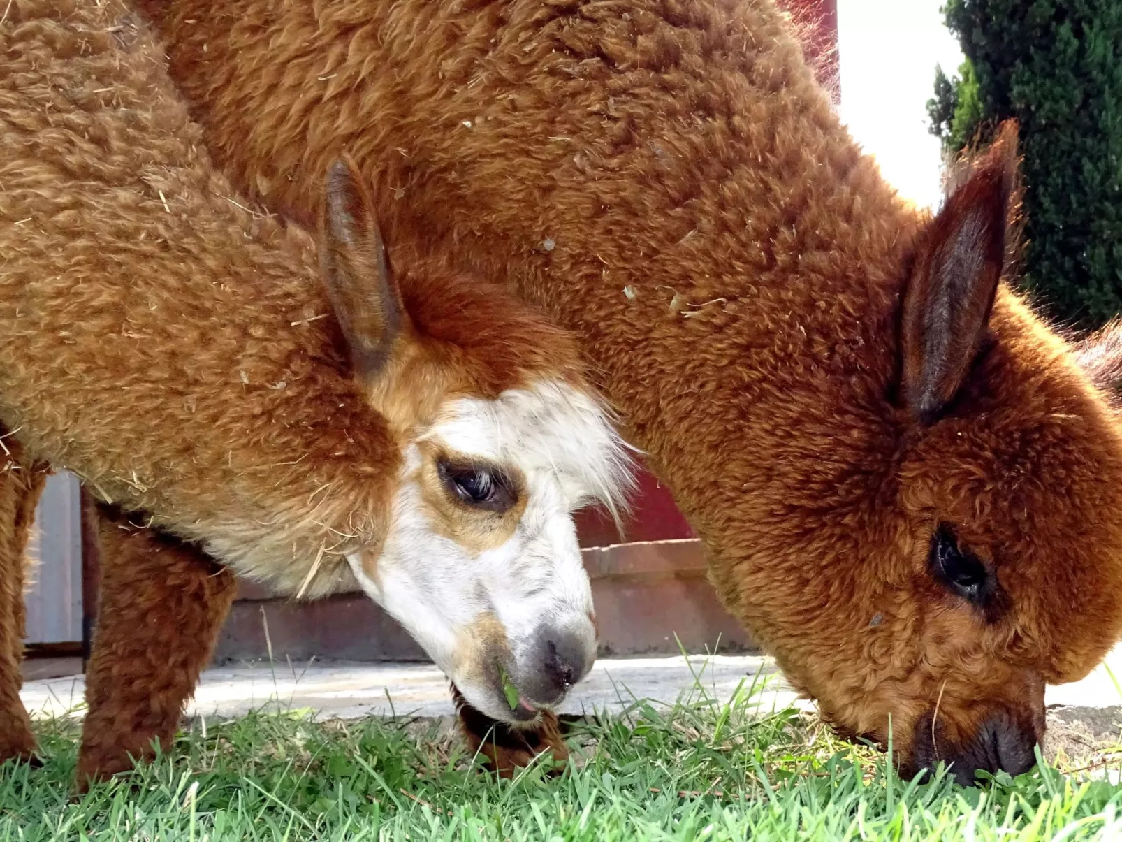 Fabelhaftes Ferienhaus 8 Betten-Image-tags.info