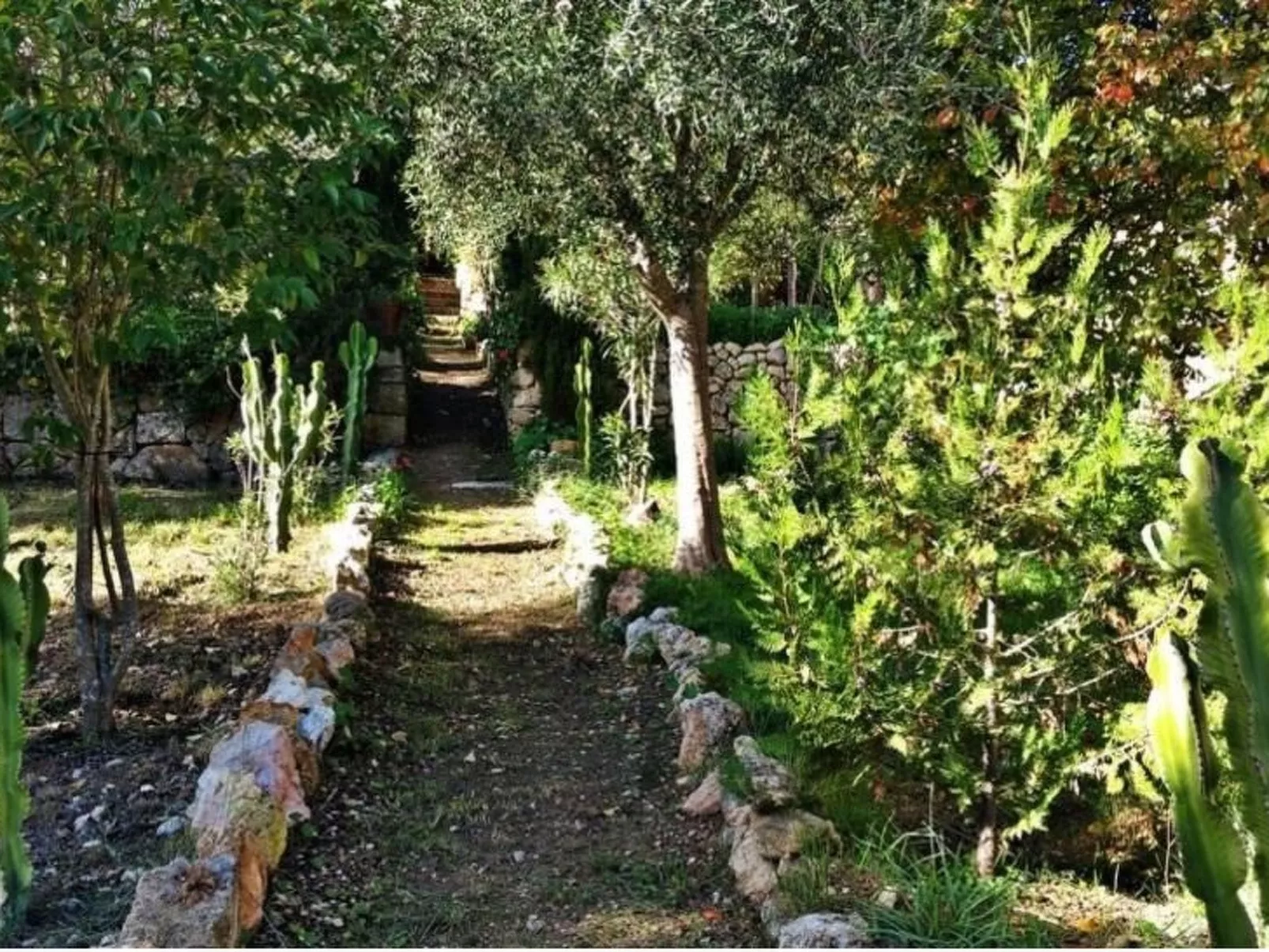 Finca "Mallorca Muro" mit Garten und Grill-Image-tags.info