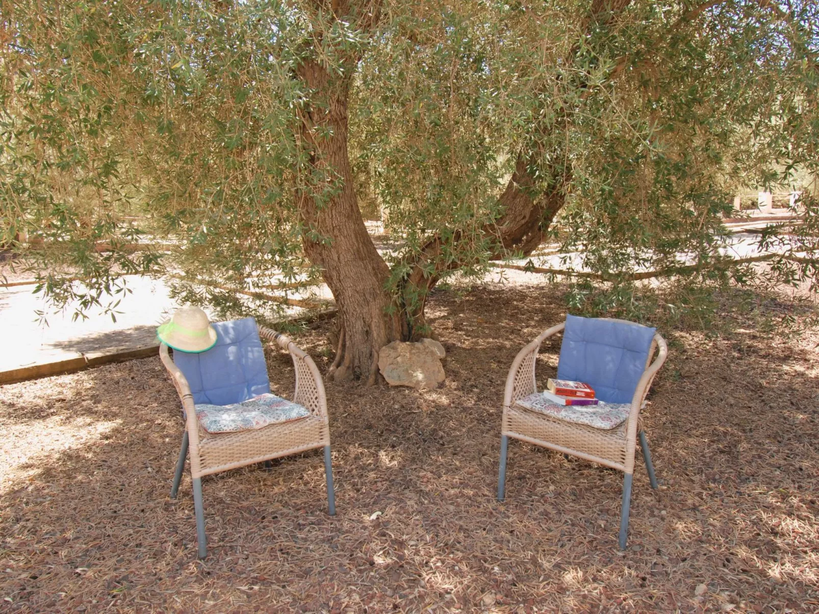 Casa The Lofties mit Pool in Andalusien-Buiten