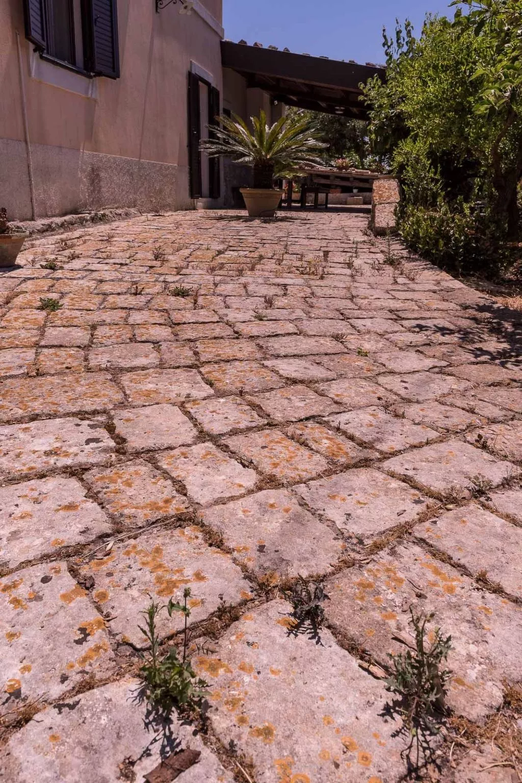 "Villa mit Pool-Image-tags.info