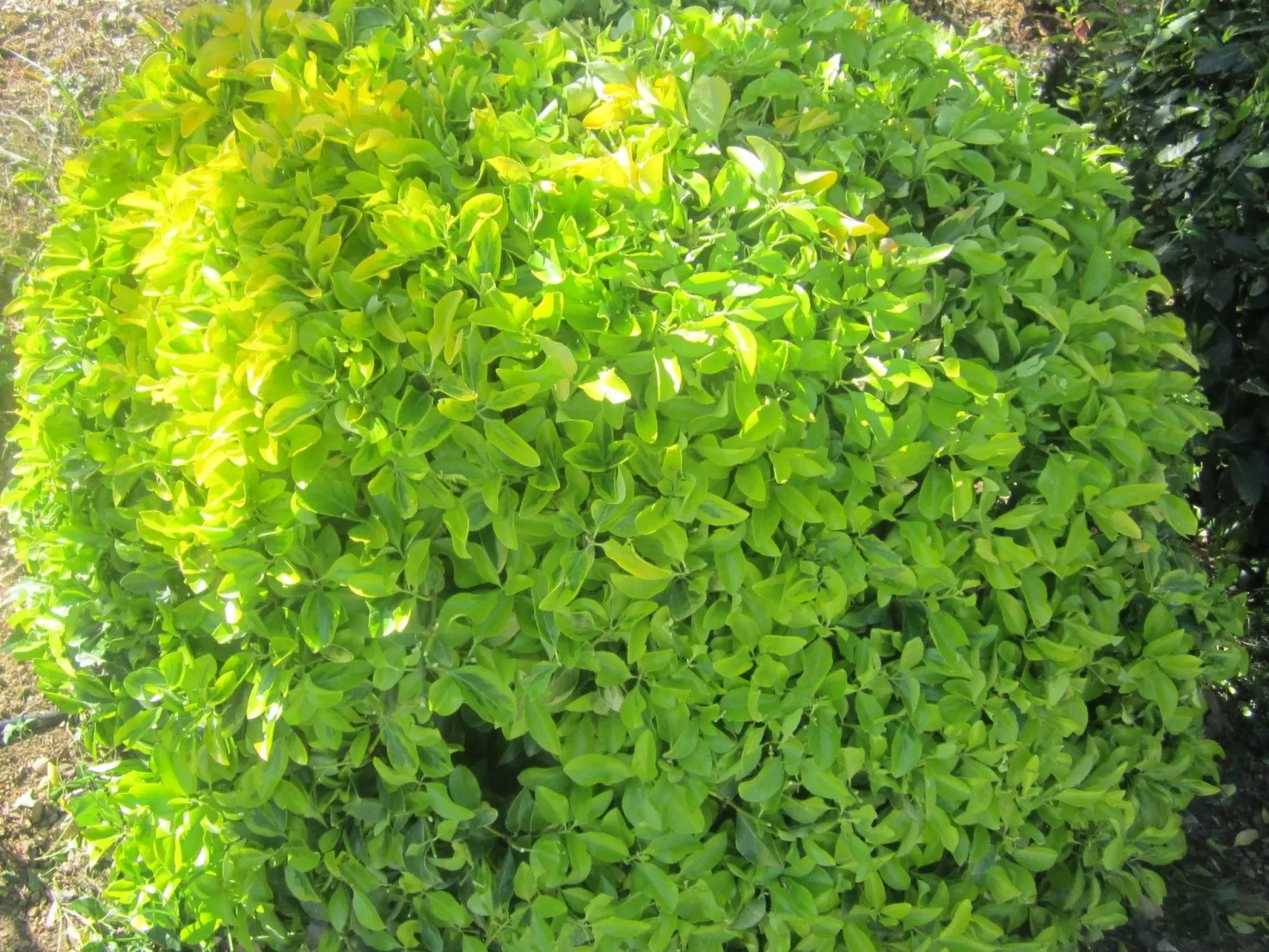 Wohnung mit Wasserblick-Buiten