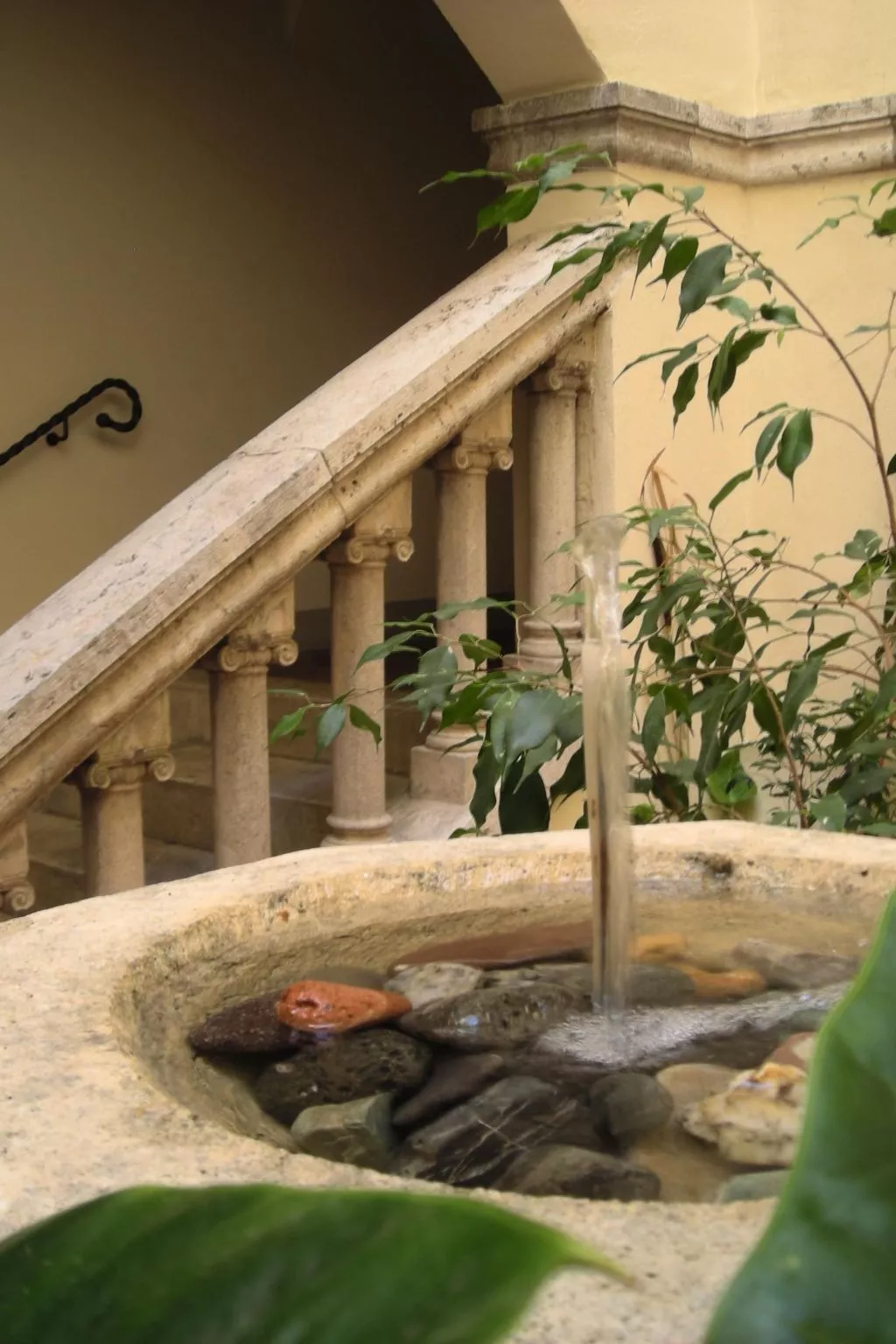 Studio für 3 Personen und 2 Kinder-Buiten