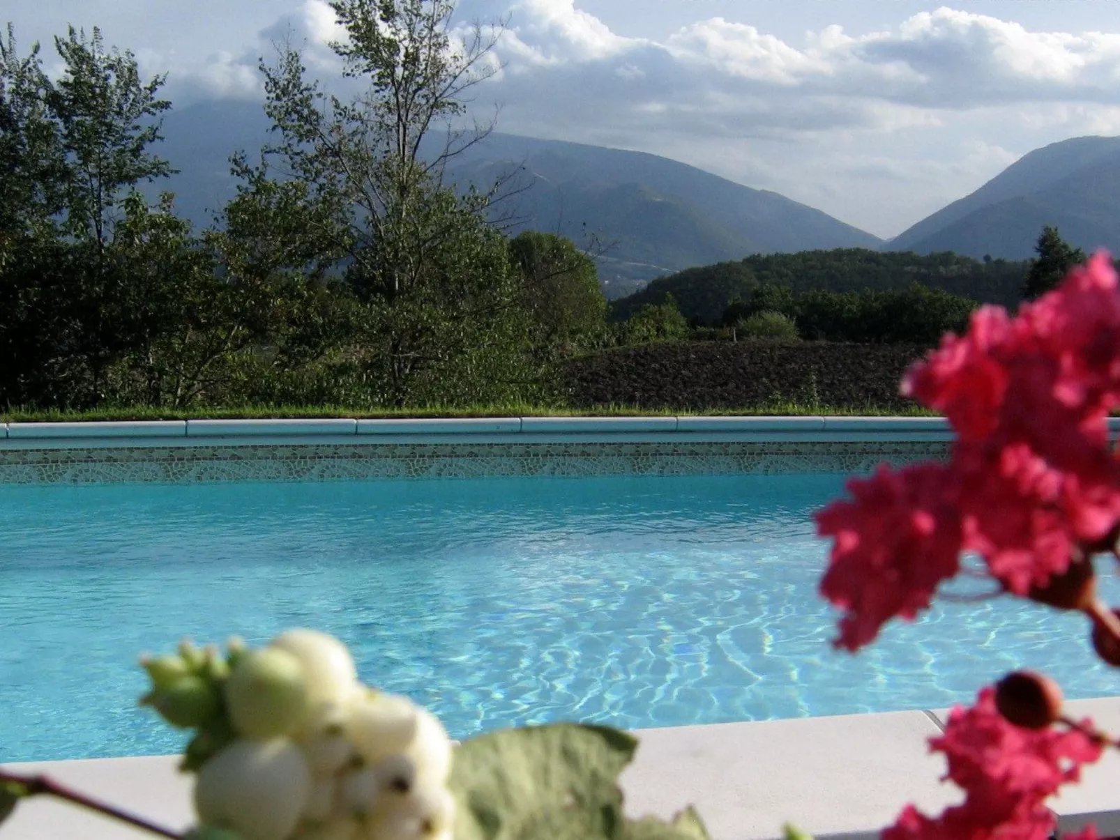 Rose in Cagli-Buiten