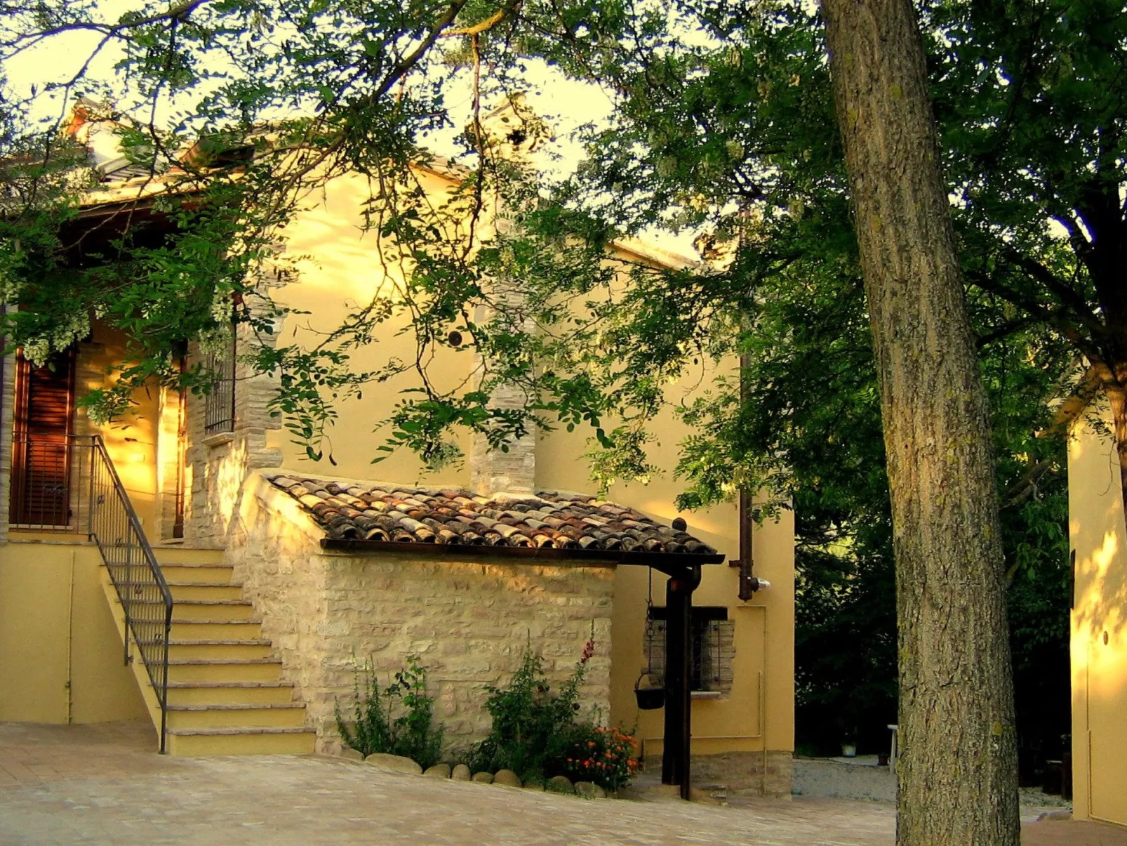 Girasoli in Cagli-Image-tags.info