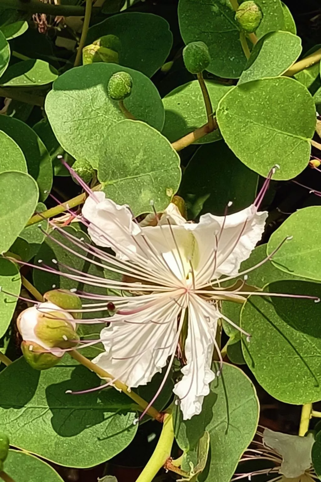 Mit Wasserblick-Buiten