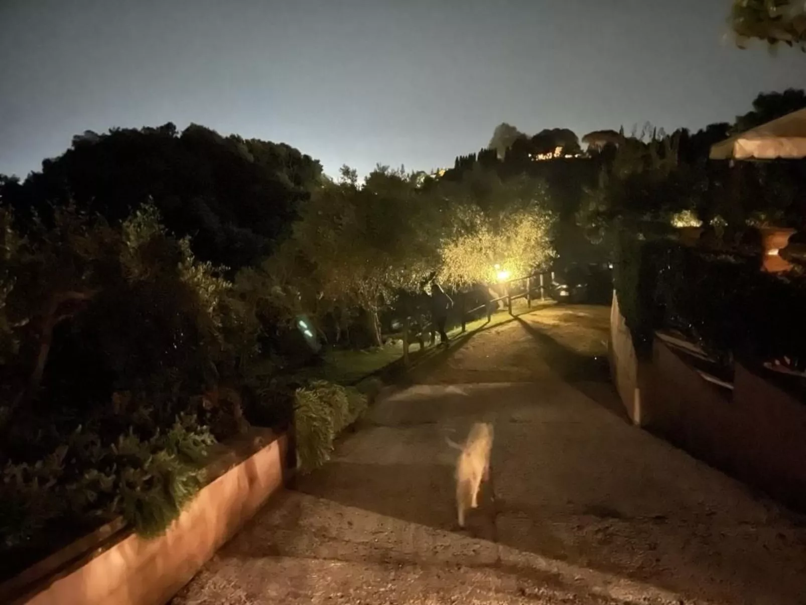 'Villa Lorien' mit Wasserblick-Image-tags.info