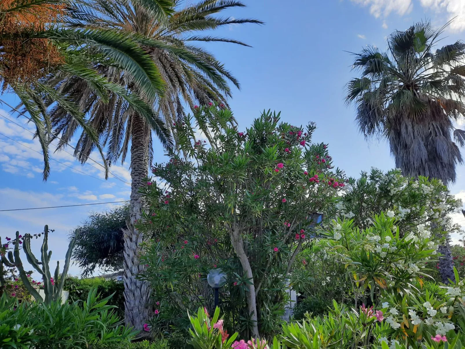 Schöner zentraler Bungalow direkt am Sandstrand auf Sizilien-Image-tags.info
