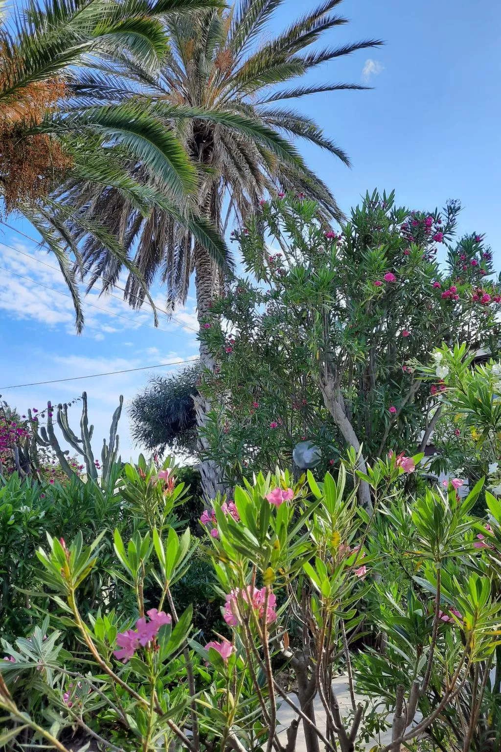 Schöner zentraler Bungalow direkt am Sandstrand auf Sizilien-Image-tags.info