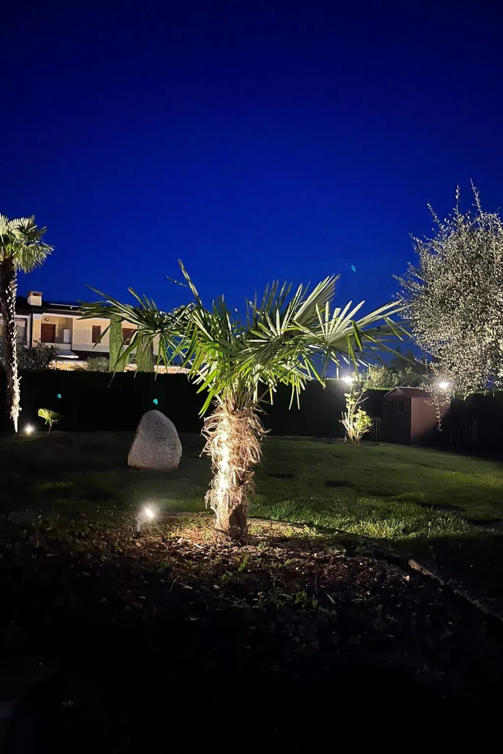 FeWo C-199-Image-tags.info