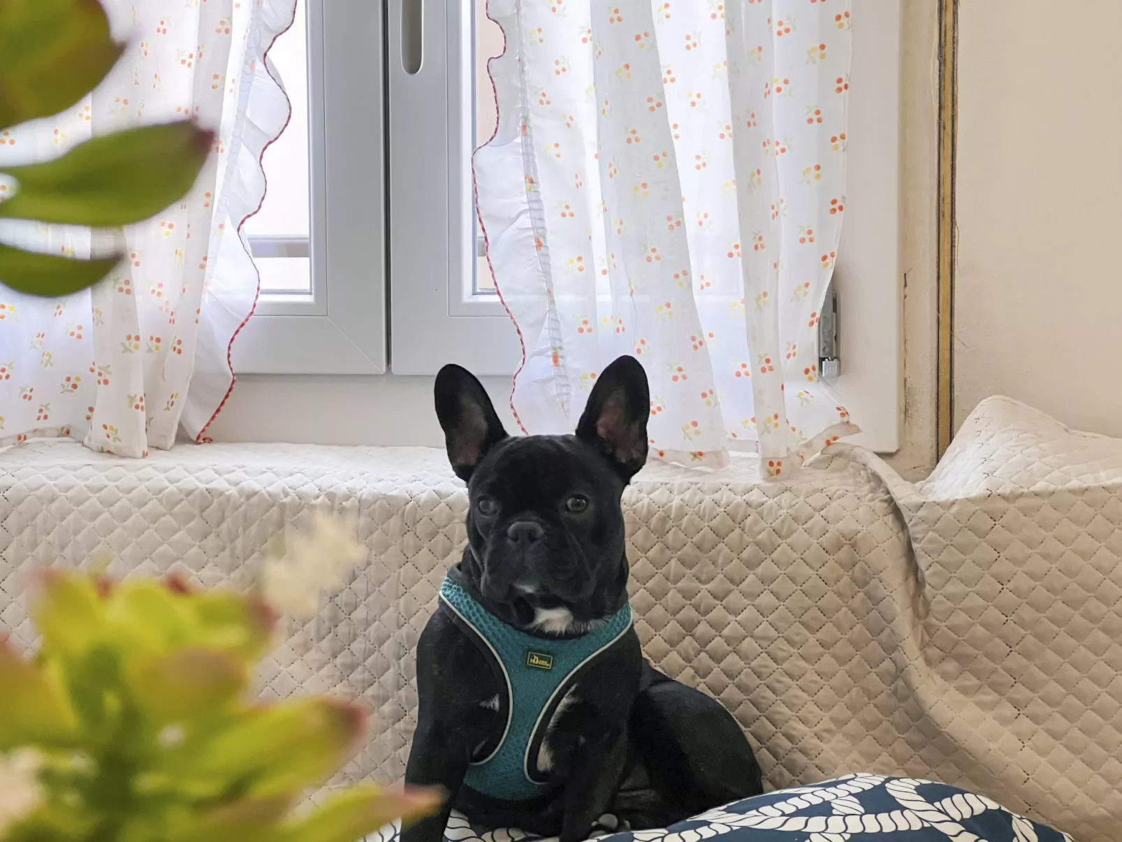 Wohnung 'Calligher A' mit Balkon-Image-tags.info