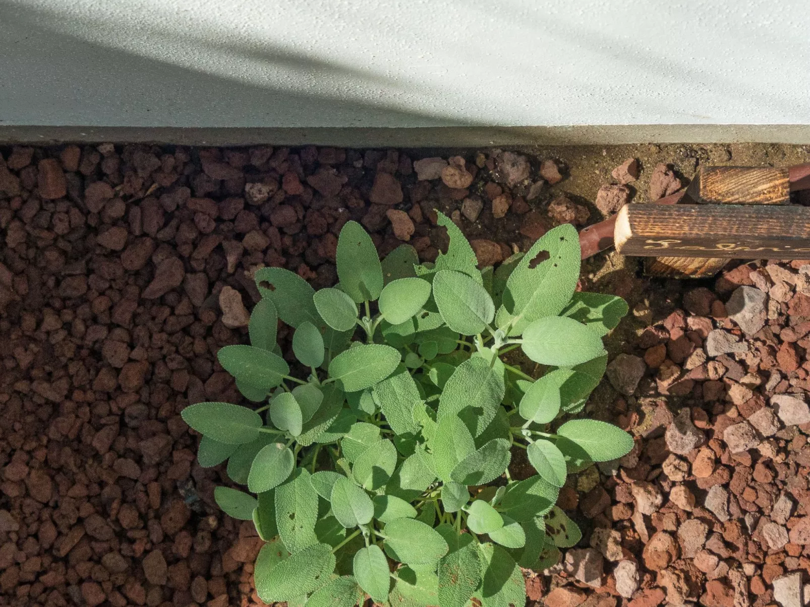 Wohnung in Marina Di Pisa mit Garten-Buiten