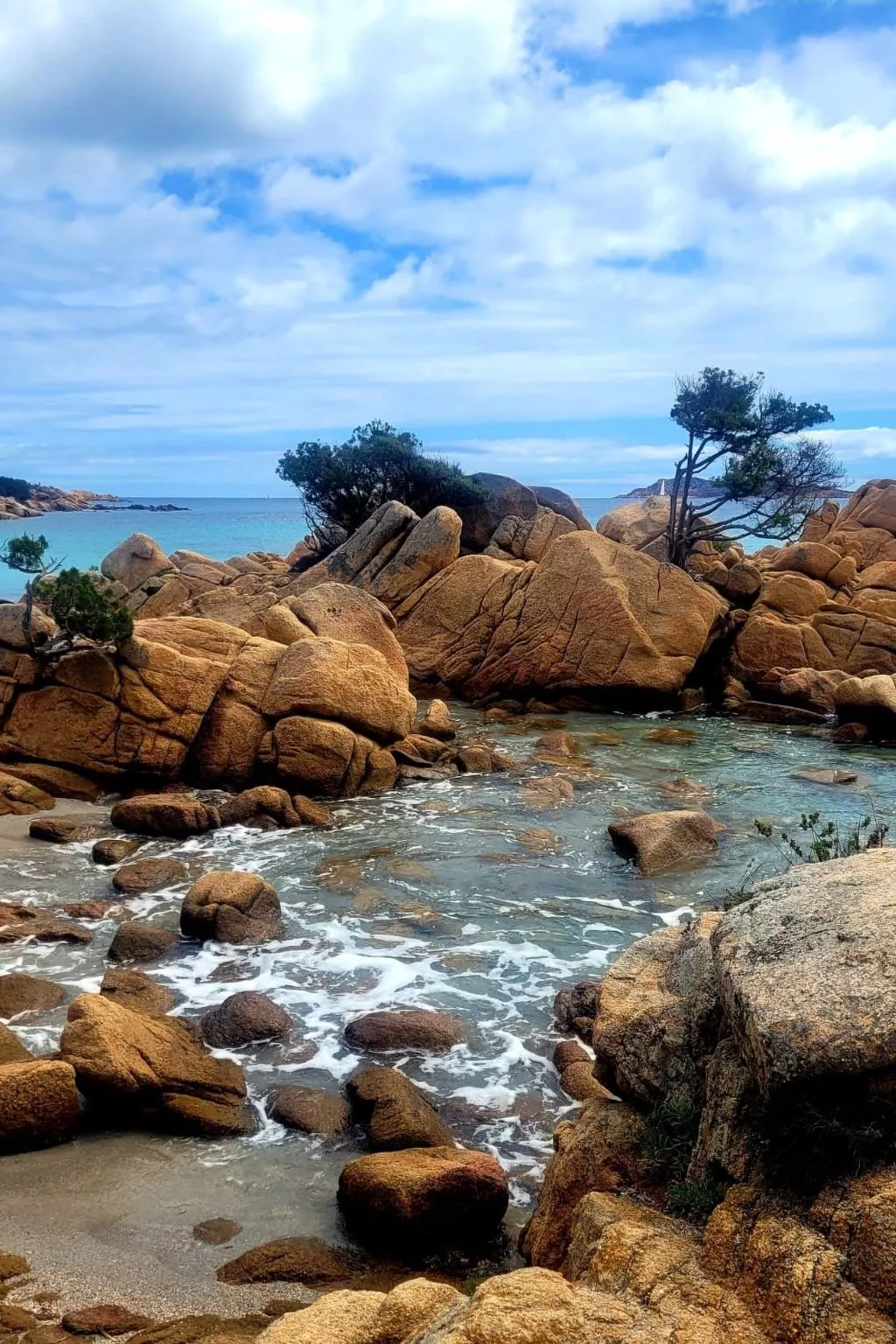 Casa Adina-Image-tags.info