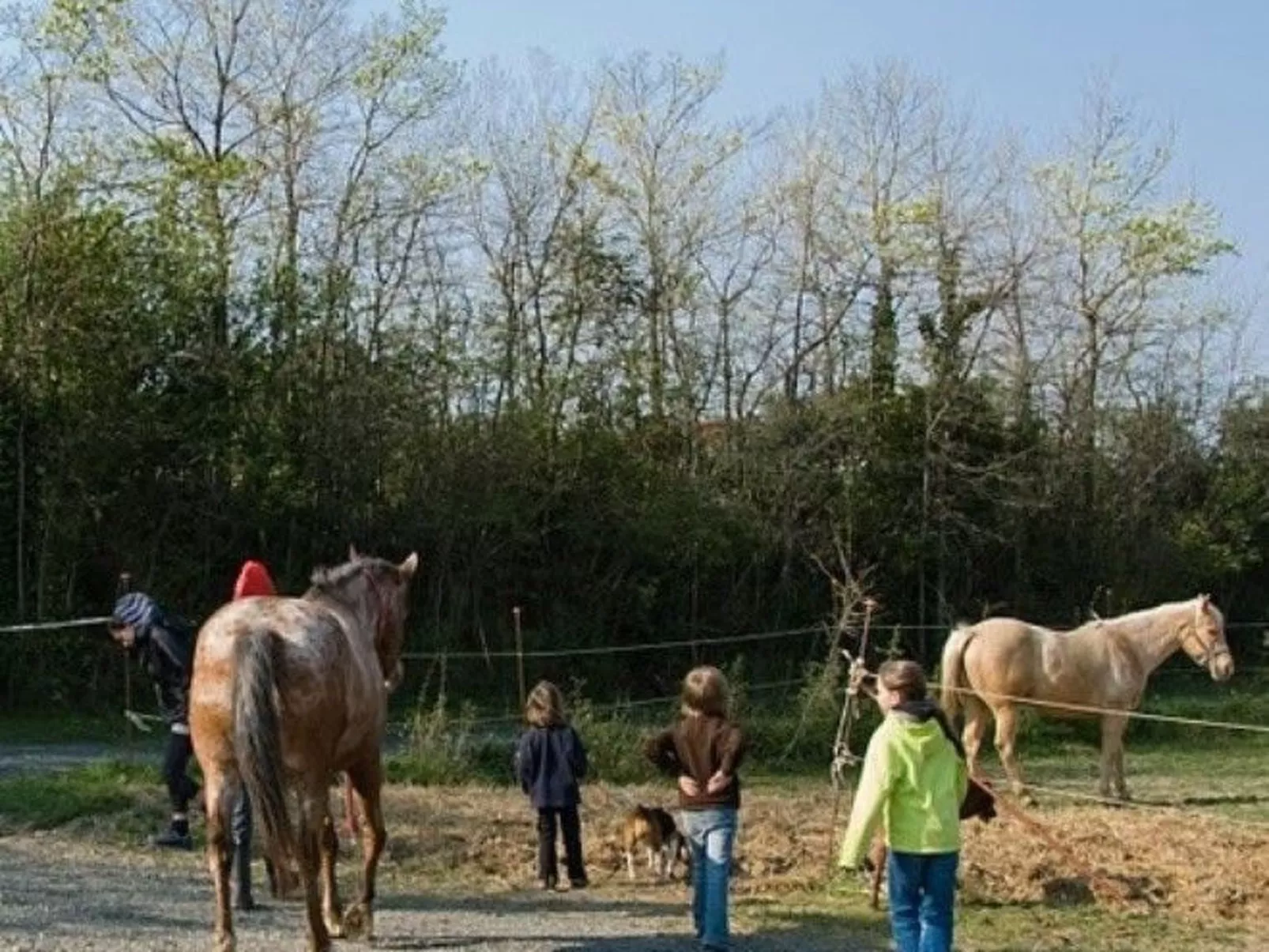 Wohnung Grecale in Castellina Marittima-Buiten