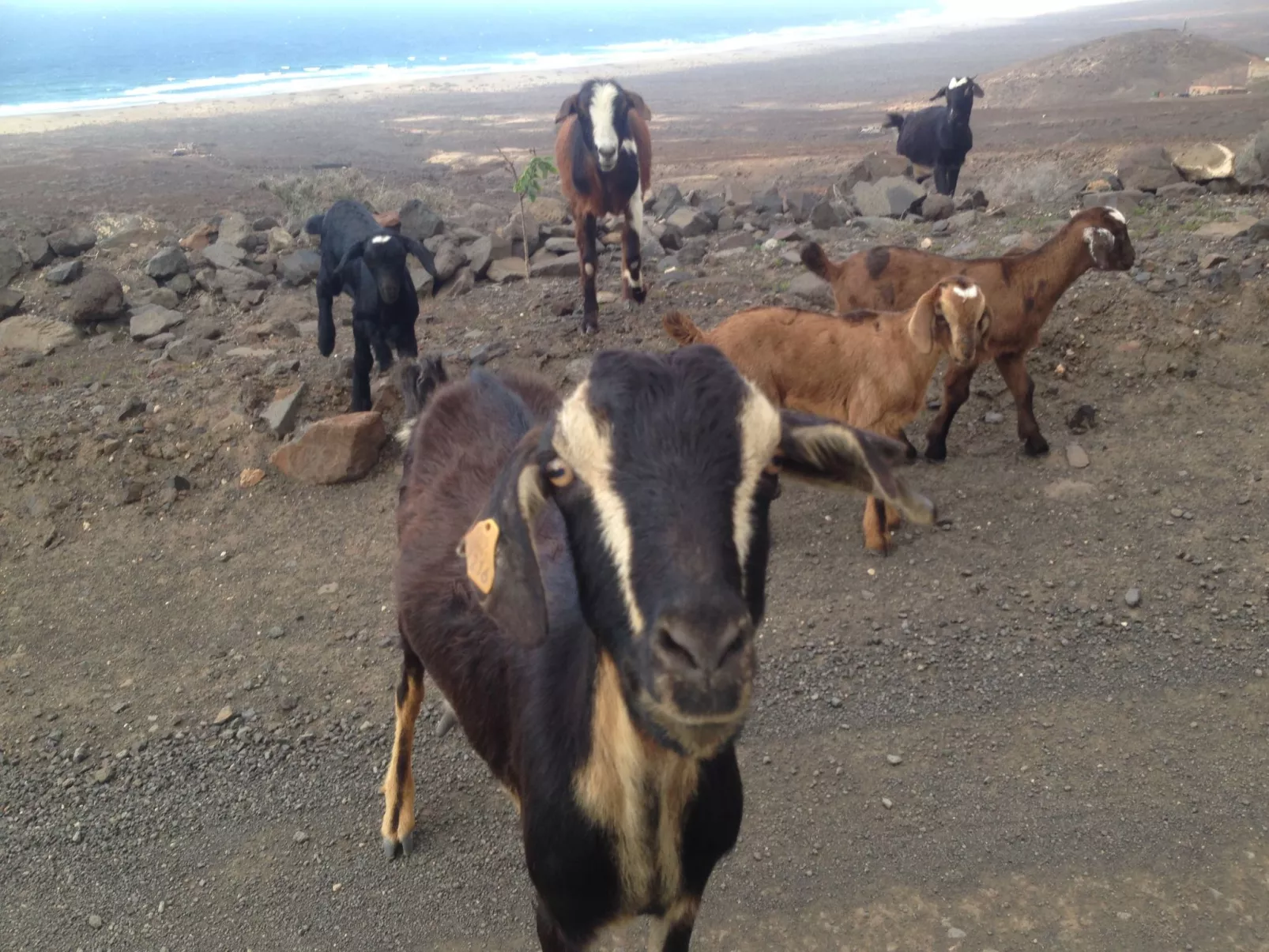 "Jandia" mit Wasserblick-Buiten