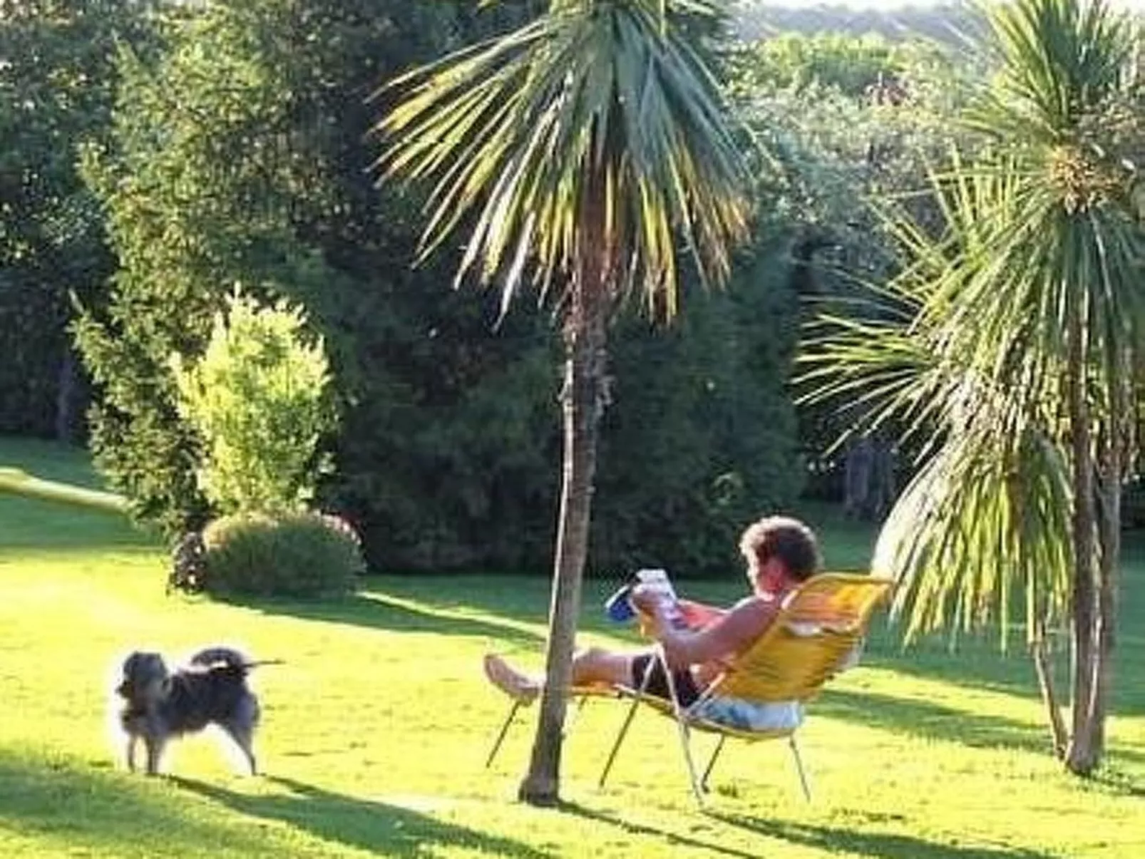 'Spezial-Image-tags.info