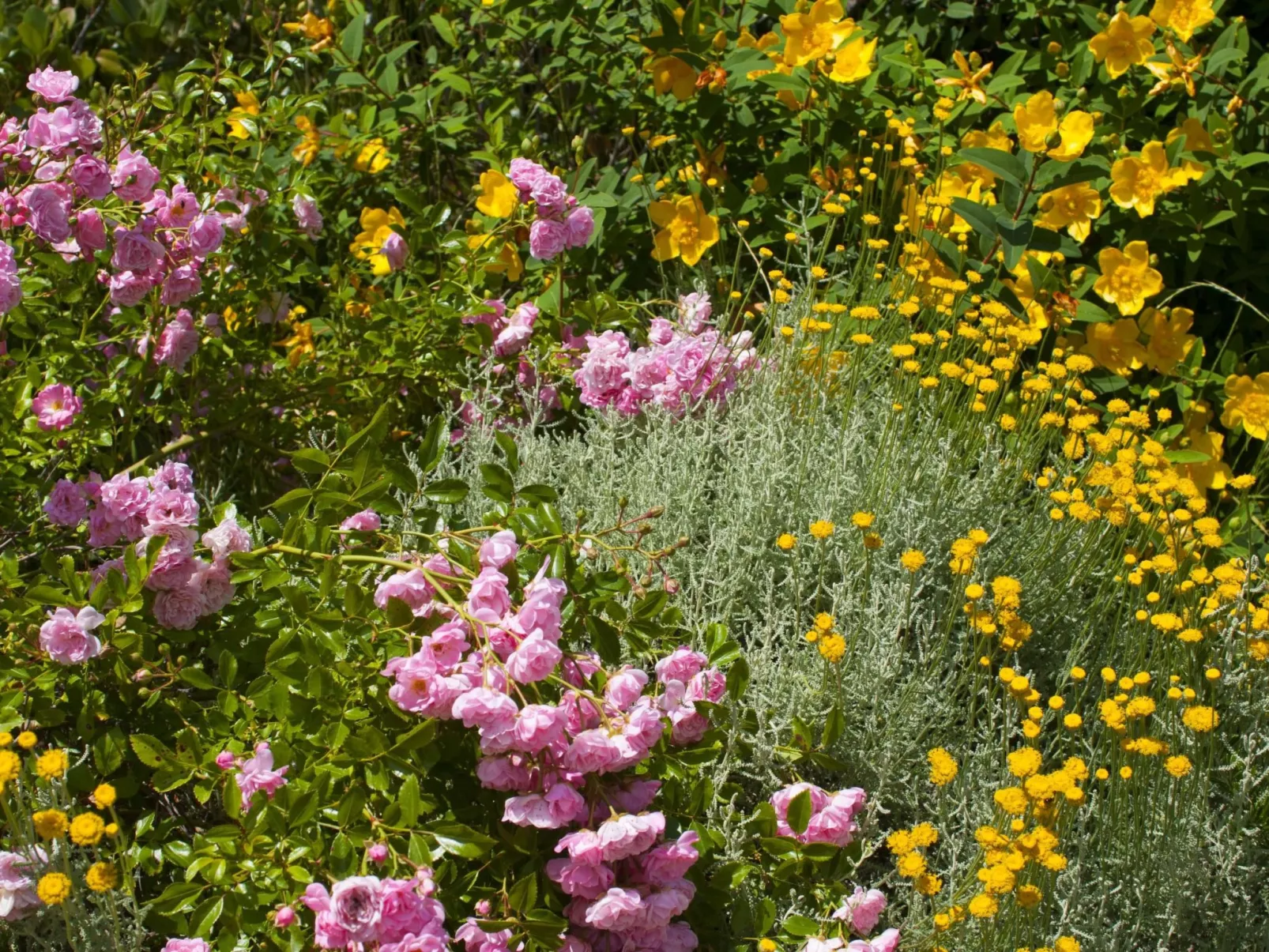 Wohnung in Figline Valdarno mit Gemeinschaftspool-Buiten