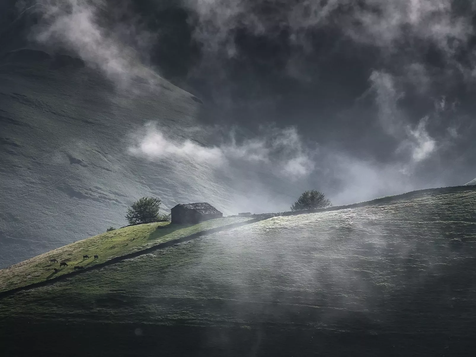 Fachwerkhaus mit Garten-Image-tags.info