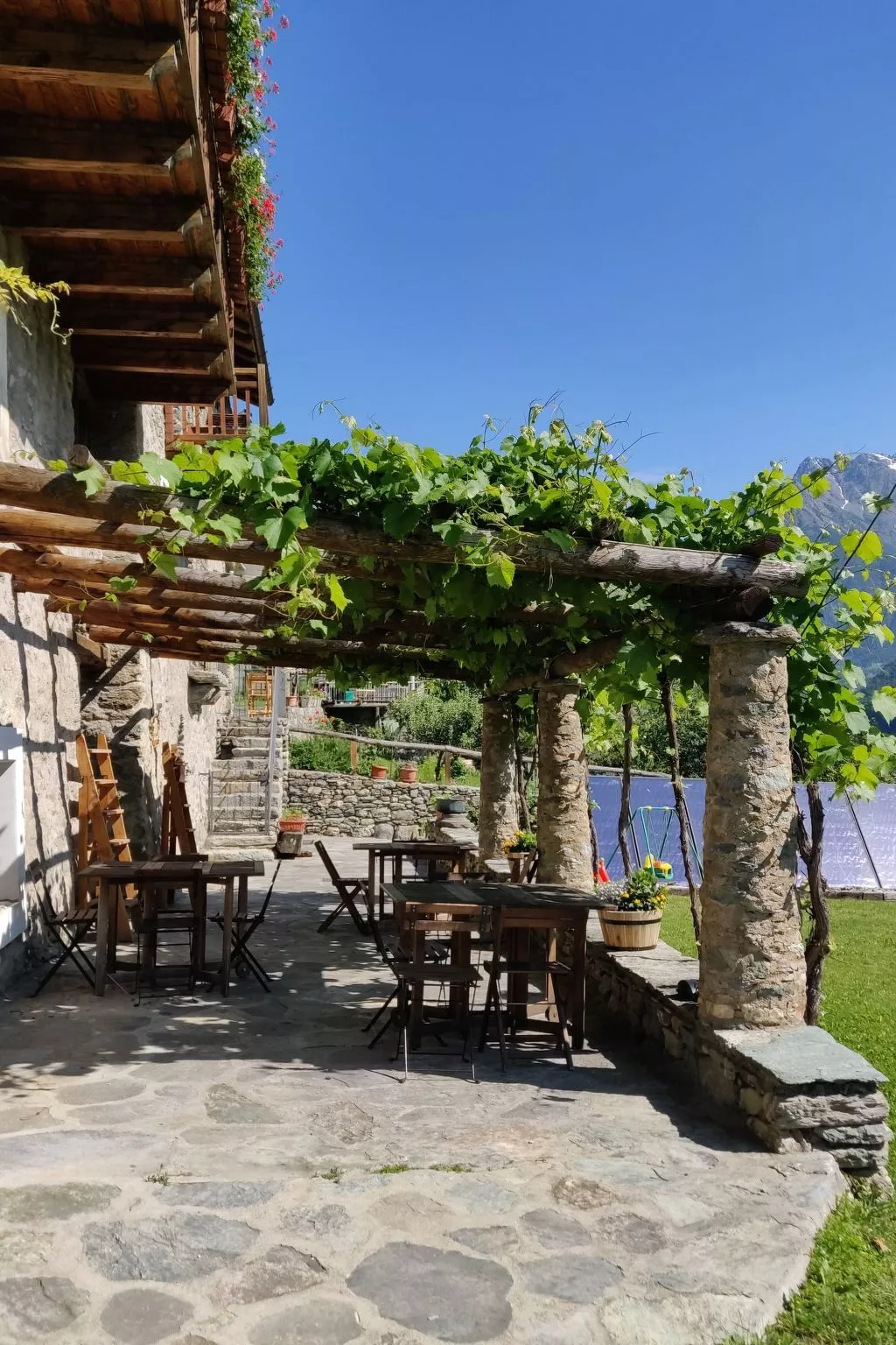 Drei-Zimmer-Wohnung Kaninchen-Image-tags.info