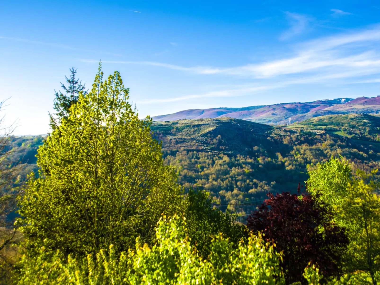 Mit Wasserblick-Image-tags.info