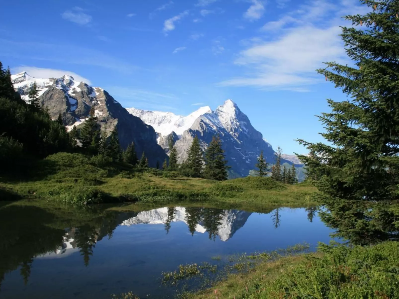 Wohnung West-Image-tags.info