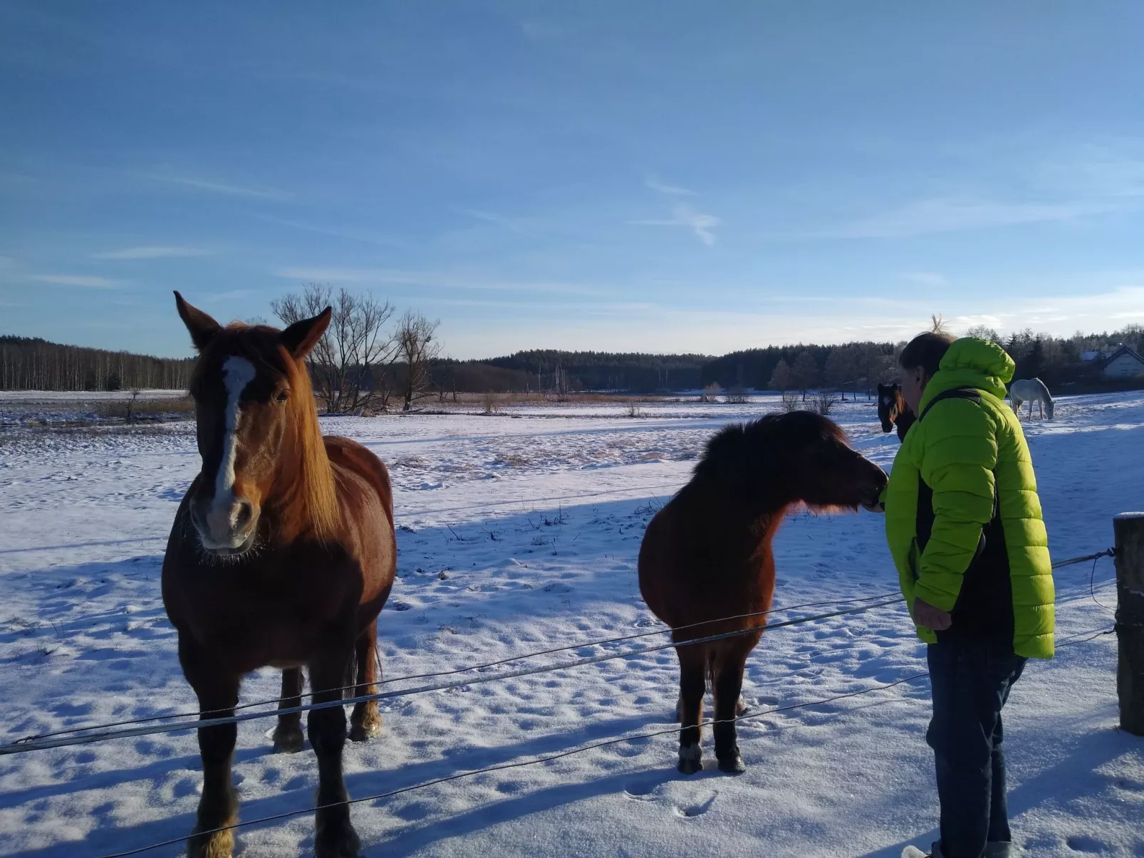 Vogelecke - abseits des Trubels und der Hektik-Buiten