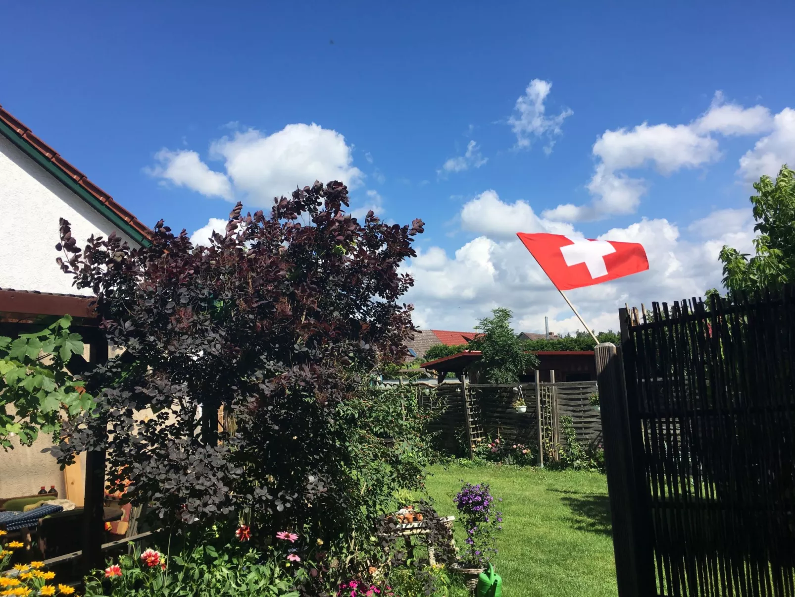 Löwenzahn-Image-tags.info